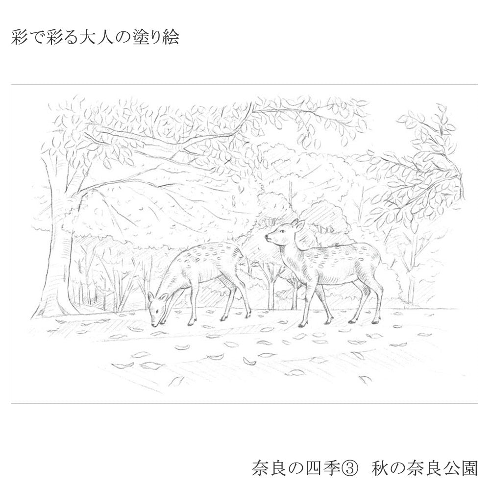 Coloring book for adults Golden Pavilion
